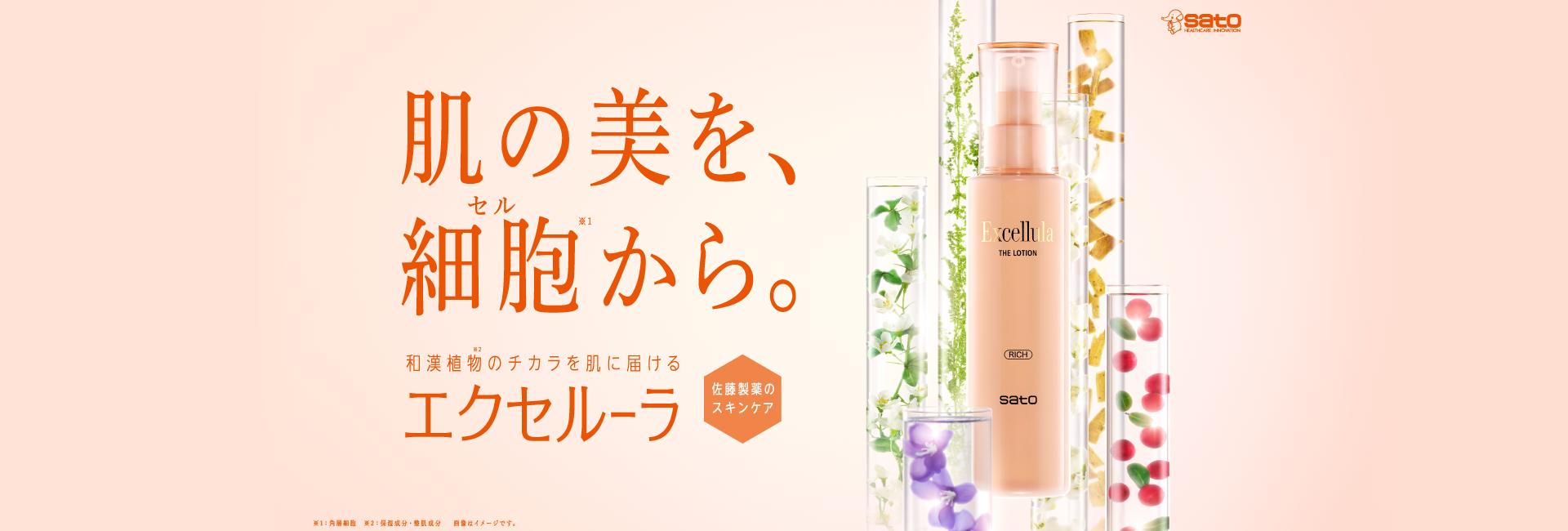 公式】エクセルーラ：Excellula｜エクセレントな、おとな肌へ