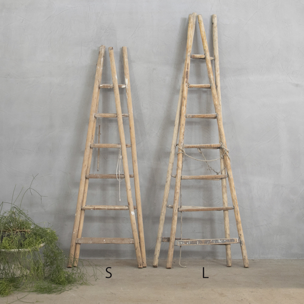 フランス アンティーク ラダー – フランス、ヨーロッパのアンティーク