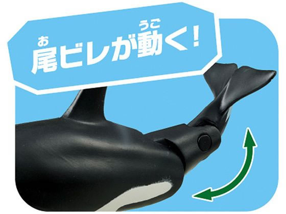 タカラトミー アニア AL-08 シャチ親子(水に浮く) 通販【フォレスト