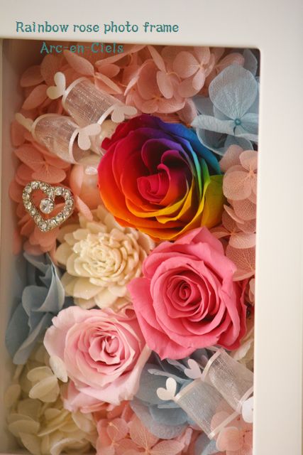 レインボーローズ☆フォトフレーム 商品詳細｜レインボーローズ