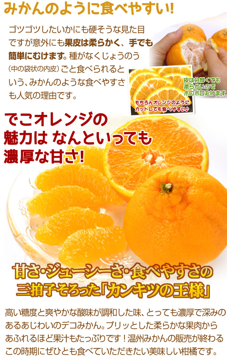 国華園オンラインショップ / みかん 8kg ちびデコ 熊本産 不知火