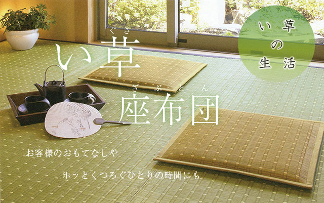 国産い草座布団【彩凜（さいりん）】袋織 日本製 防カビ【5枚セット