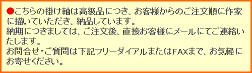 掛け軸 寒牡丹 (梅津道雄) 送料無料 【掛軸】【一間床】【丈の短い掛軸
