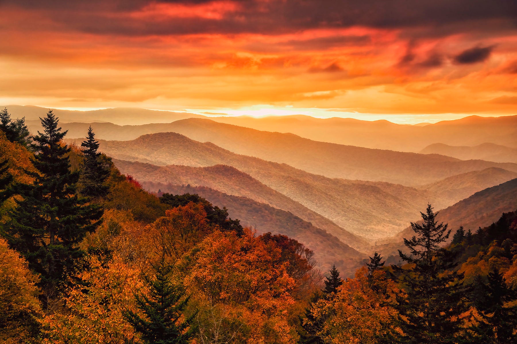 Autumn Sunrise Thru the Rain- Great Smoky Mtns - Ken Jenkins