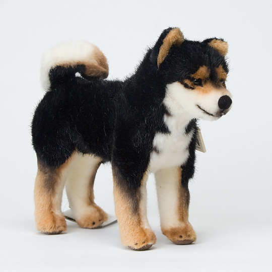 5751 柴犬 黒：おもちゃ：百町森