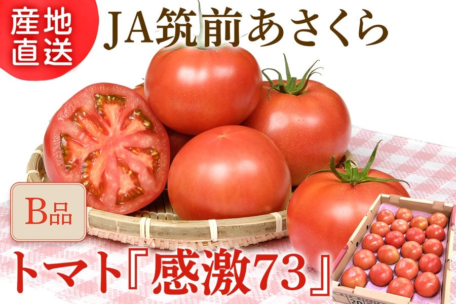 ◎JA筑前あさくら トマト『感激73』（B品）約4㎏ ※1月末～順次出荷予定
