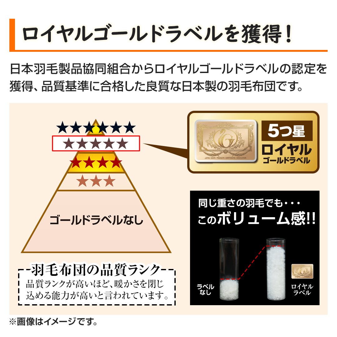 モリリン 布団・快眠グッズ ハンガリー産ダウン90%羽毛布団 シングル