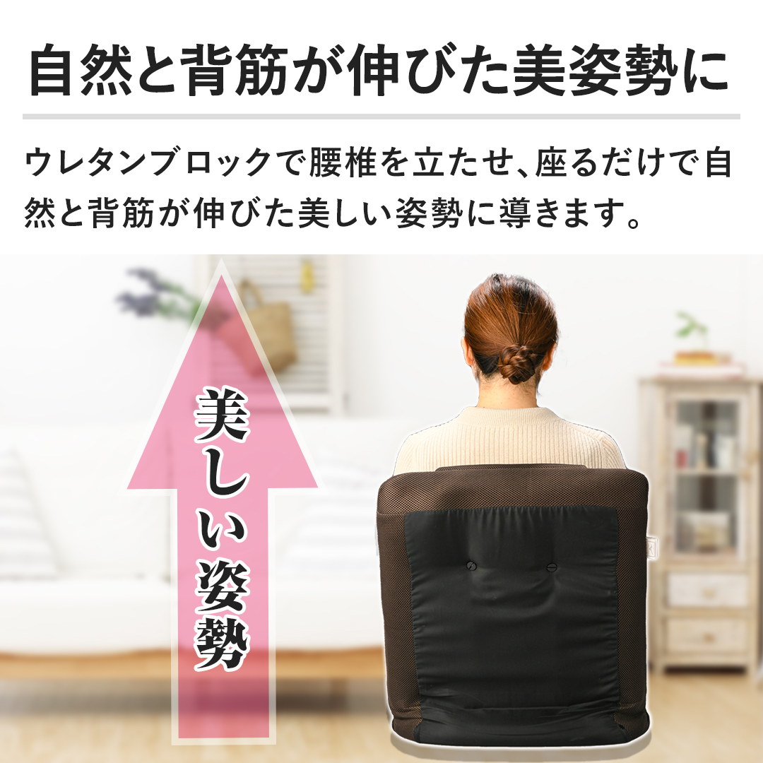 ミズノ フィットネス用品 腹筋座椅子 じつは！ゆれる腹筋くん ブラウン