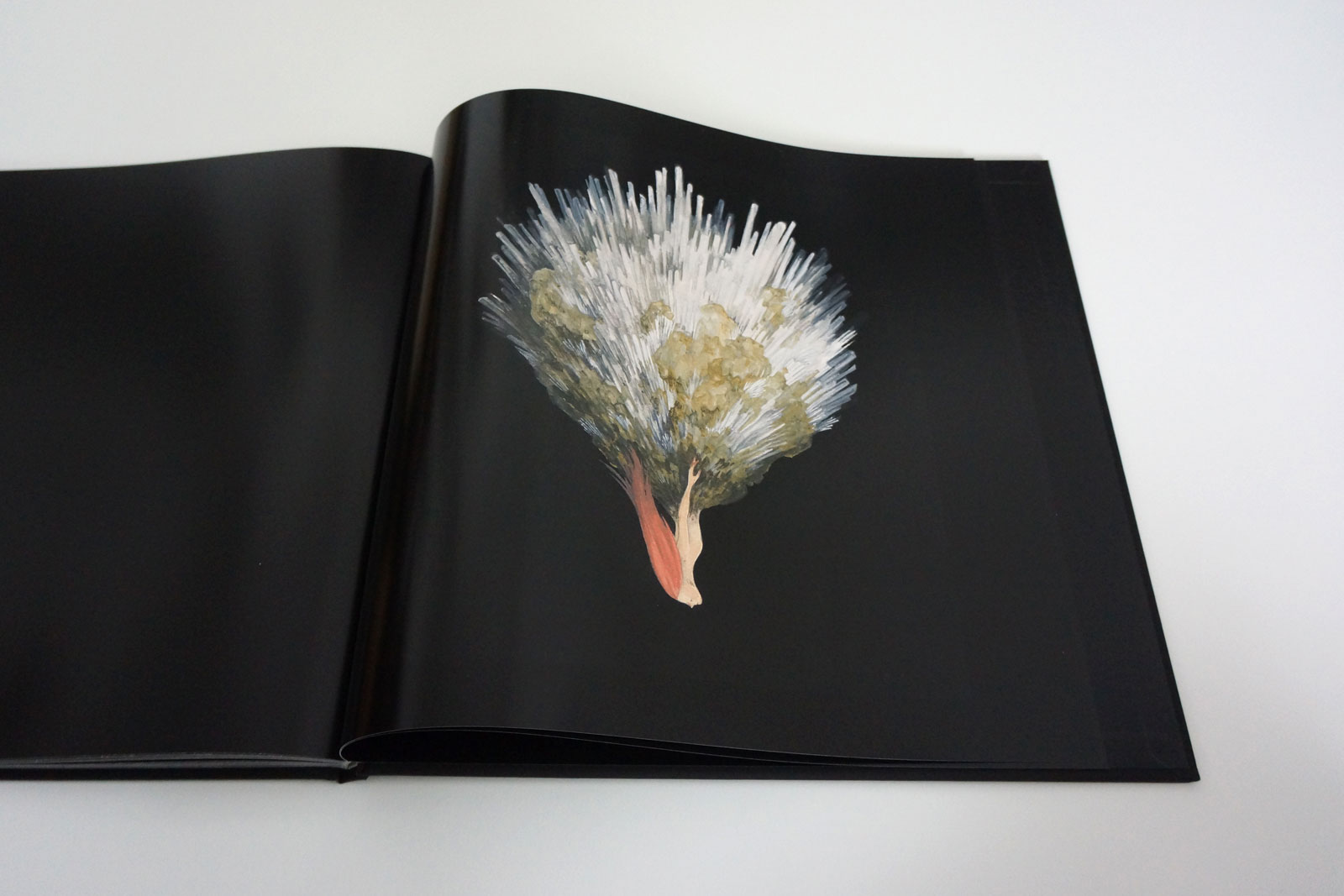 junaida.com » LAPIS・MOTION IN THE SILENCE