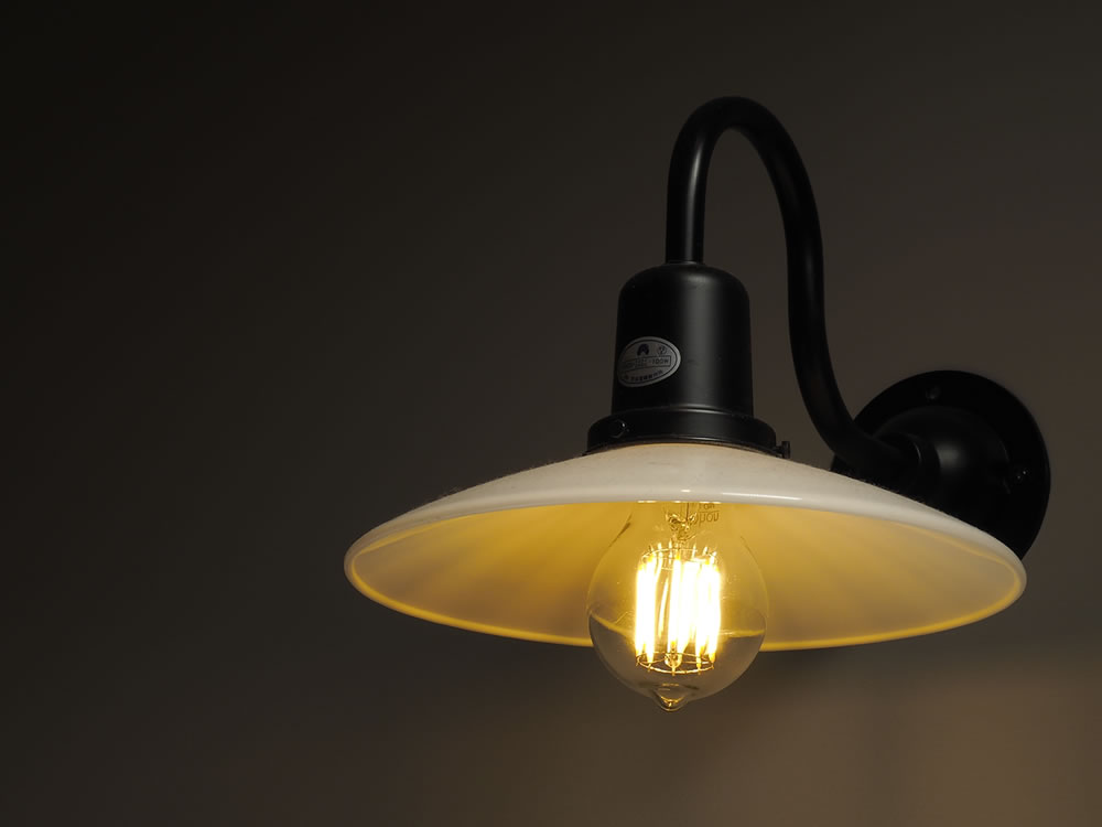 フィラメントLED電球「Siphon」 ORIGINAL LDF44 オリジナル Only One