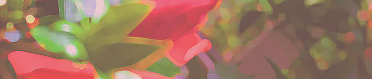 ベルナール・ビュッフェ アルバムサンフランシスコシリーズ#84 | 絵画