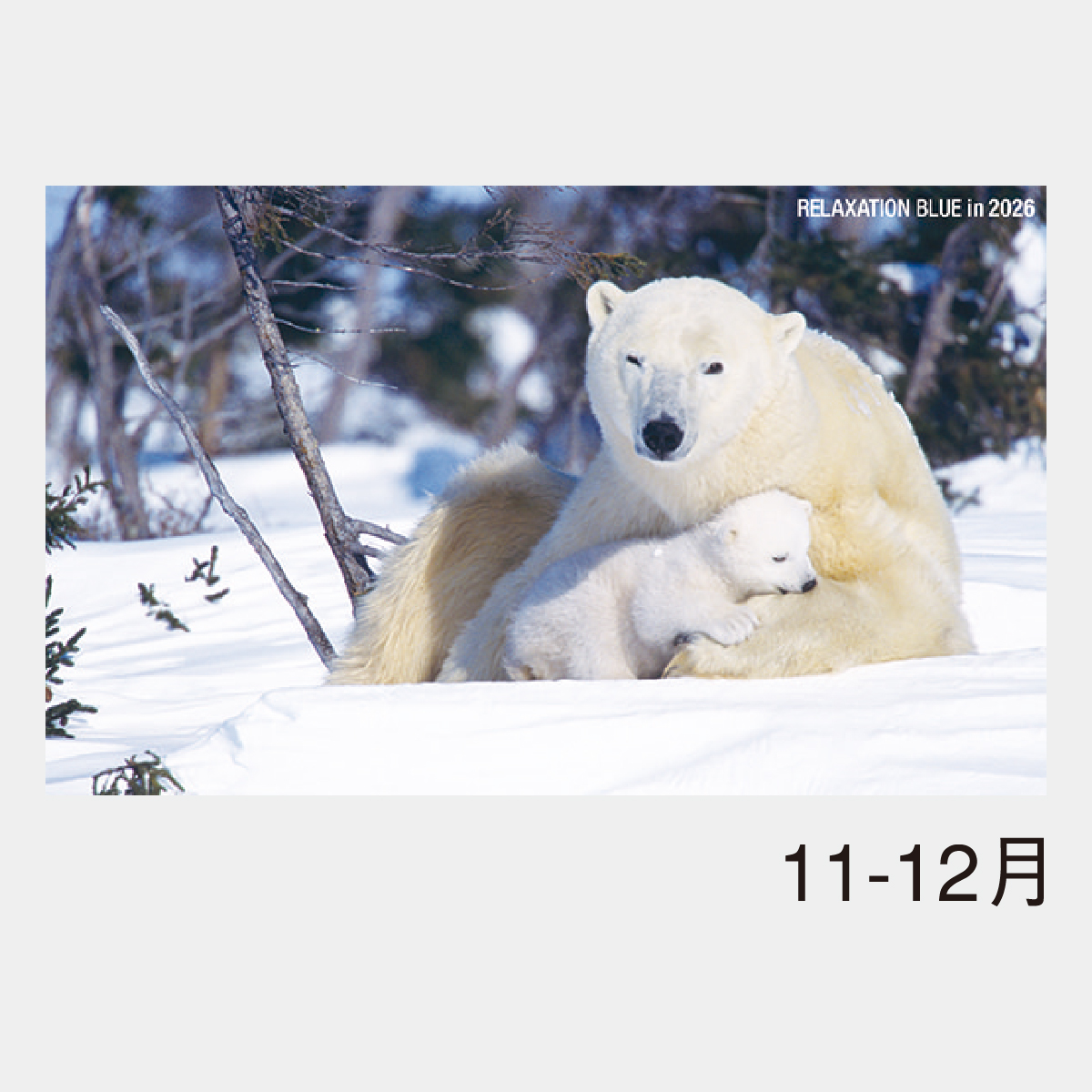 NK-32 リラクゼーション ブルー2026年版の名入れカレンダーを格安で