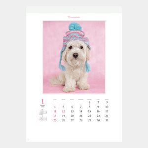 NK-89 アニマル・フレンズ(レイチェル・ヘイル)2026年版の名入れ