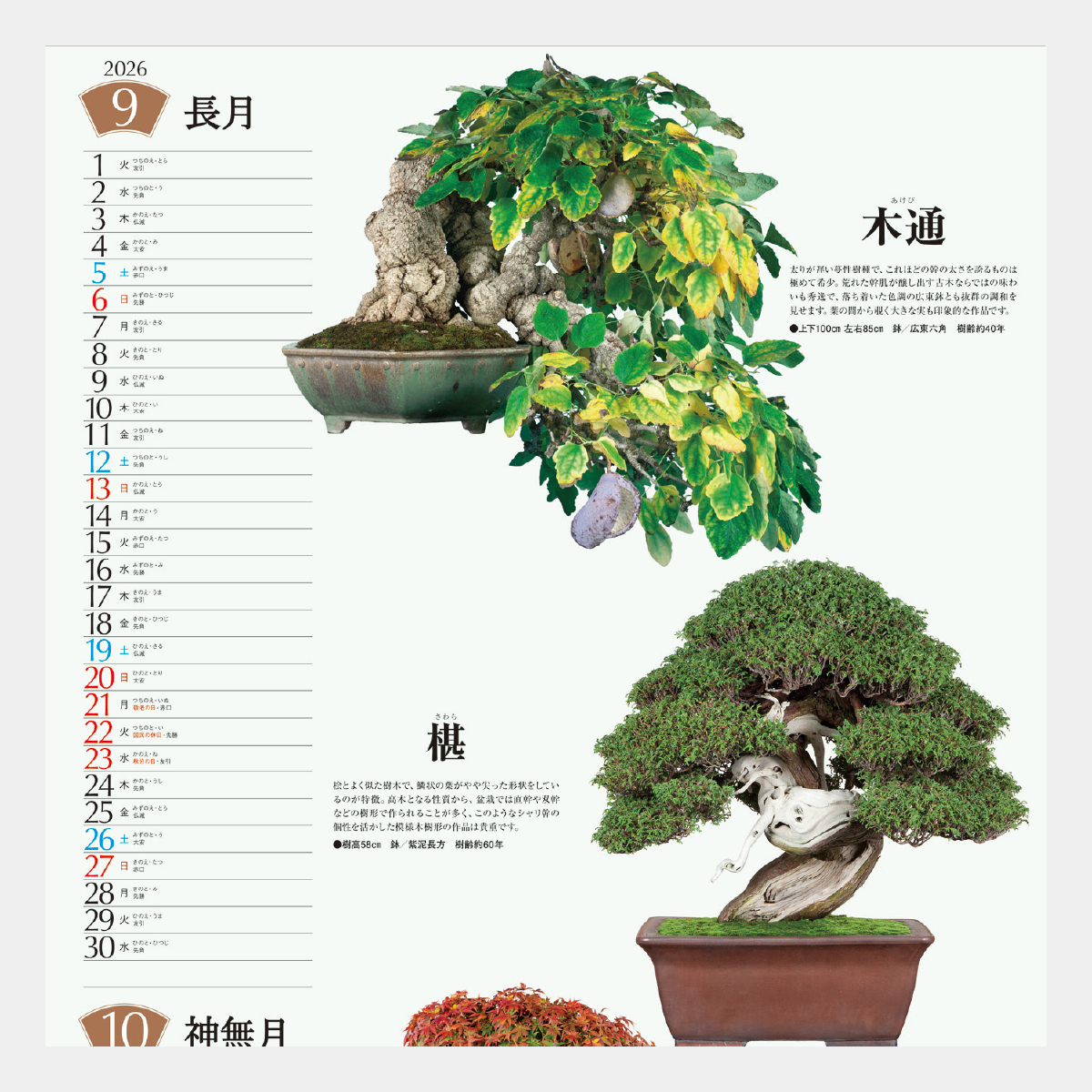 SB-130 盆栽2026年版の名入れカレンダーを格安で販売 - 名入れ