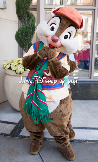 チップ＆デールのペアグリーティング画像5枚紹介！〜Disneyland Resort