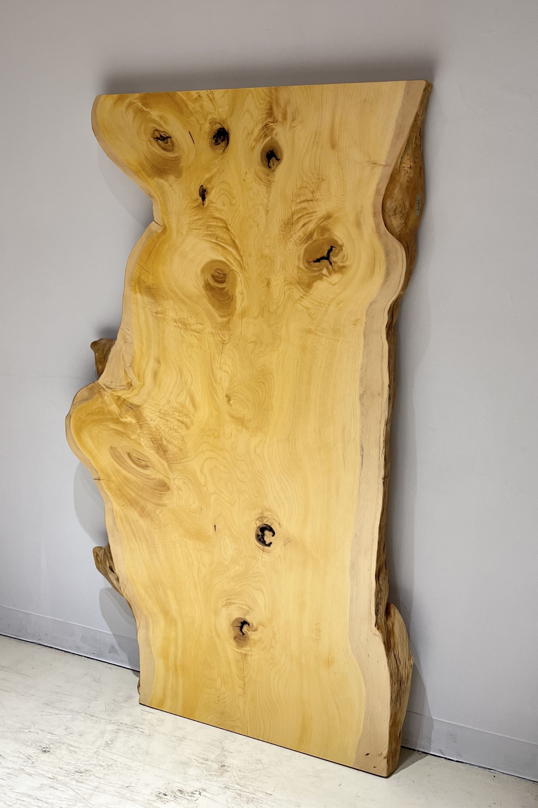 天然木 東京 新宿 東五軒町展示 モンキーポット材 一枚板 テーブル用天