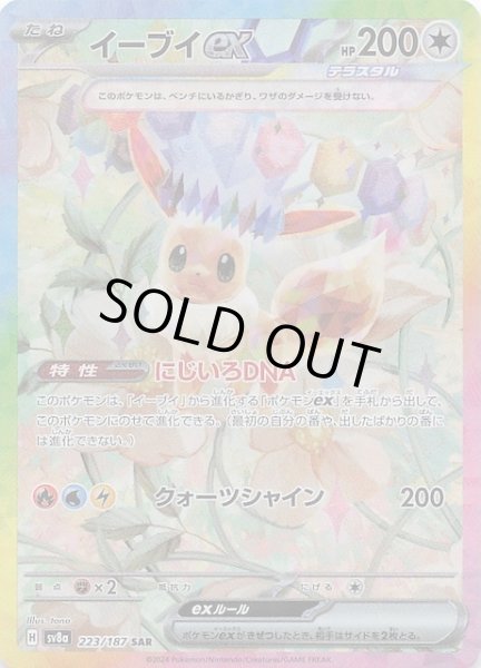 テラスタルフェスex SAR】イーブイex 223/187 - マナソース