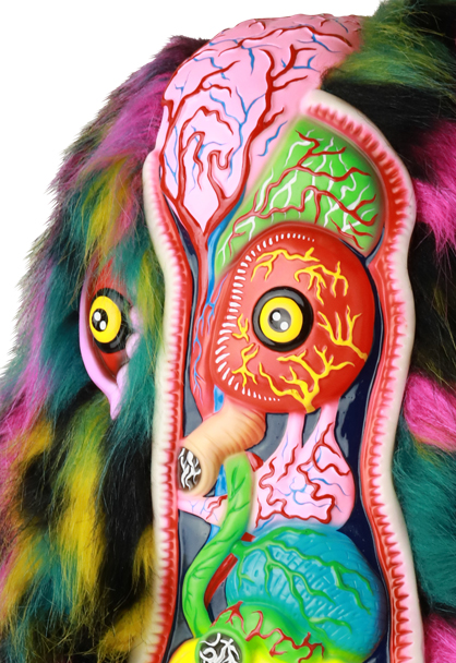 MEDICOM TOY - SHELTERBANK ヘドラ 完全解剖図解(3期)