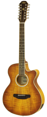 新品 Aria(アリア) ／ FET-DLX／12 LVS 12弦 エレアコ 多弦ギター の