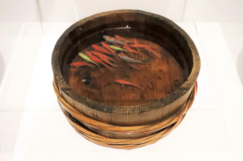 本物そっくり、「2.5D」の金魚展 | 三井広報委員会