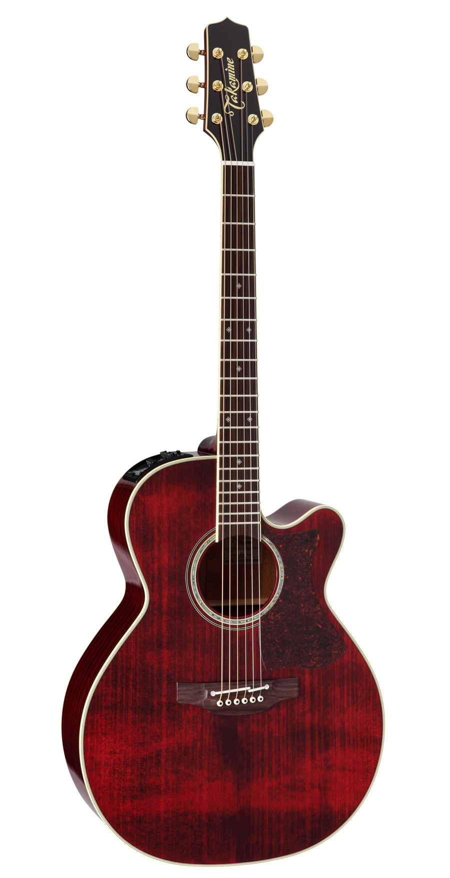 Takamine 500シリーズ エレクトリックアコースティックギターDMP551C
