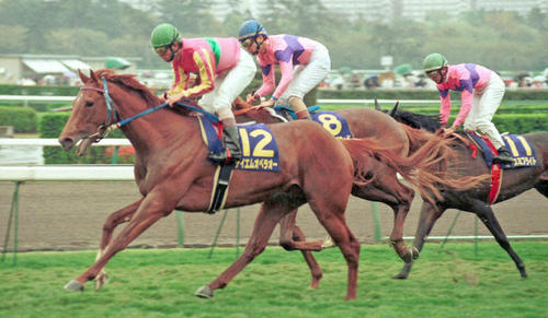 G1復刻】テイエムオペラオーに凱歌 ベガ、トップロードを破り