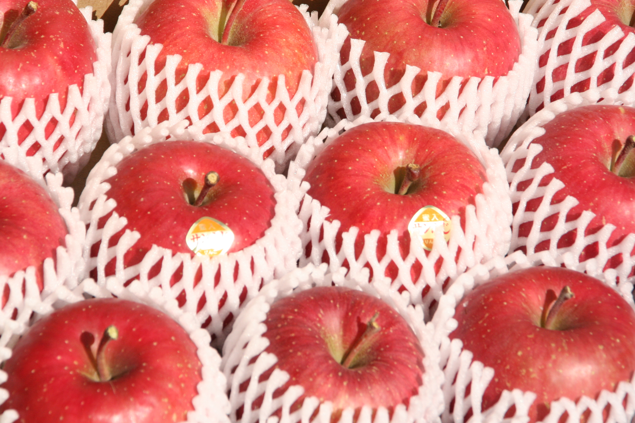 北国の風土と自然が育てた青森りんごの通販なら｜西村りんご園