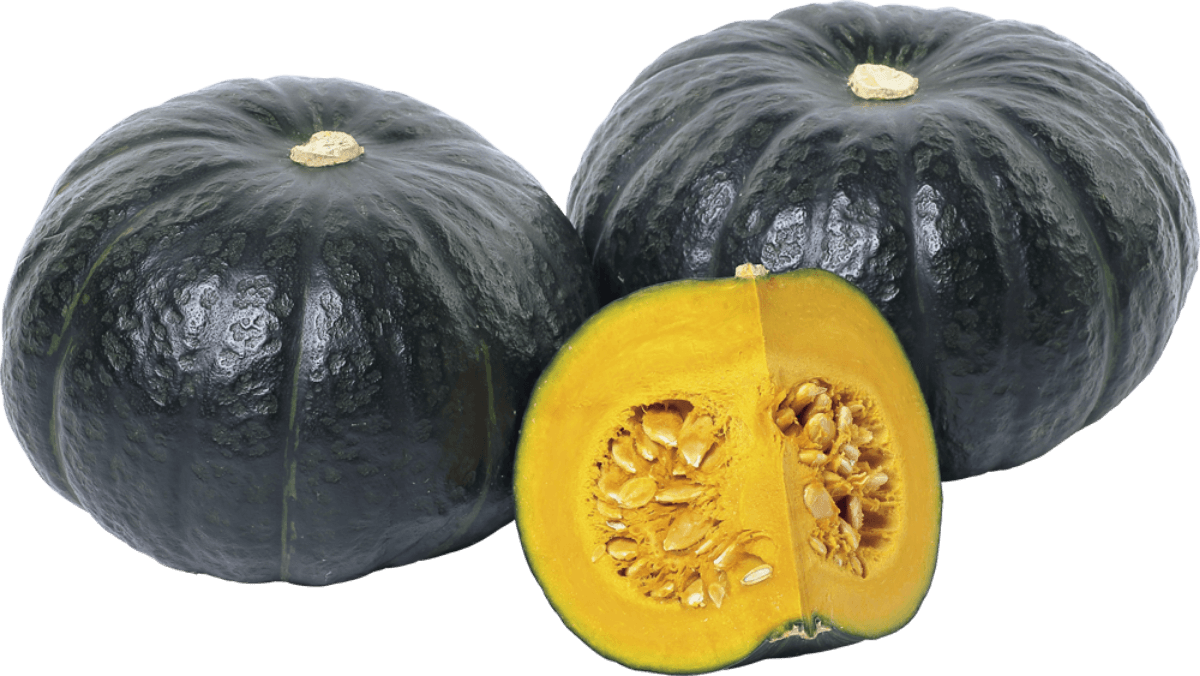 うまいぜ！栗カボチャ ブラックのジョー - 栽培情報