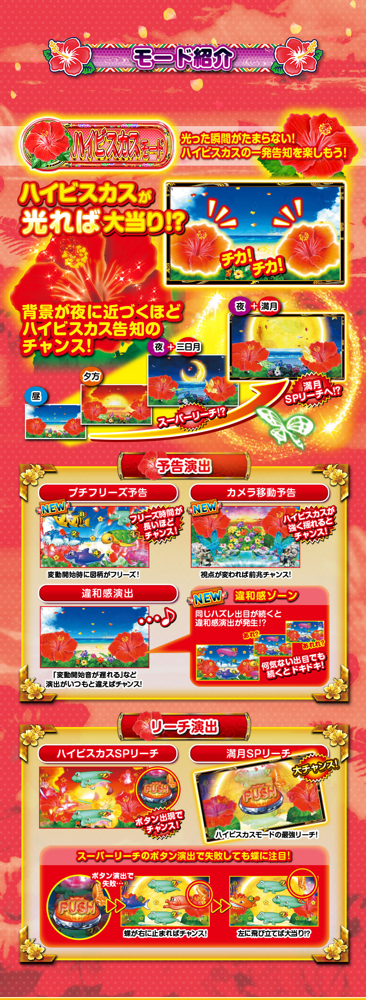 SANYO：Pスーパー海物語IN沖縄5