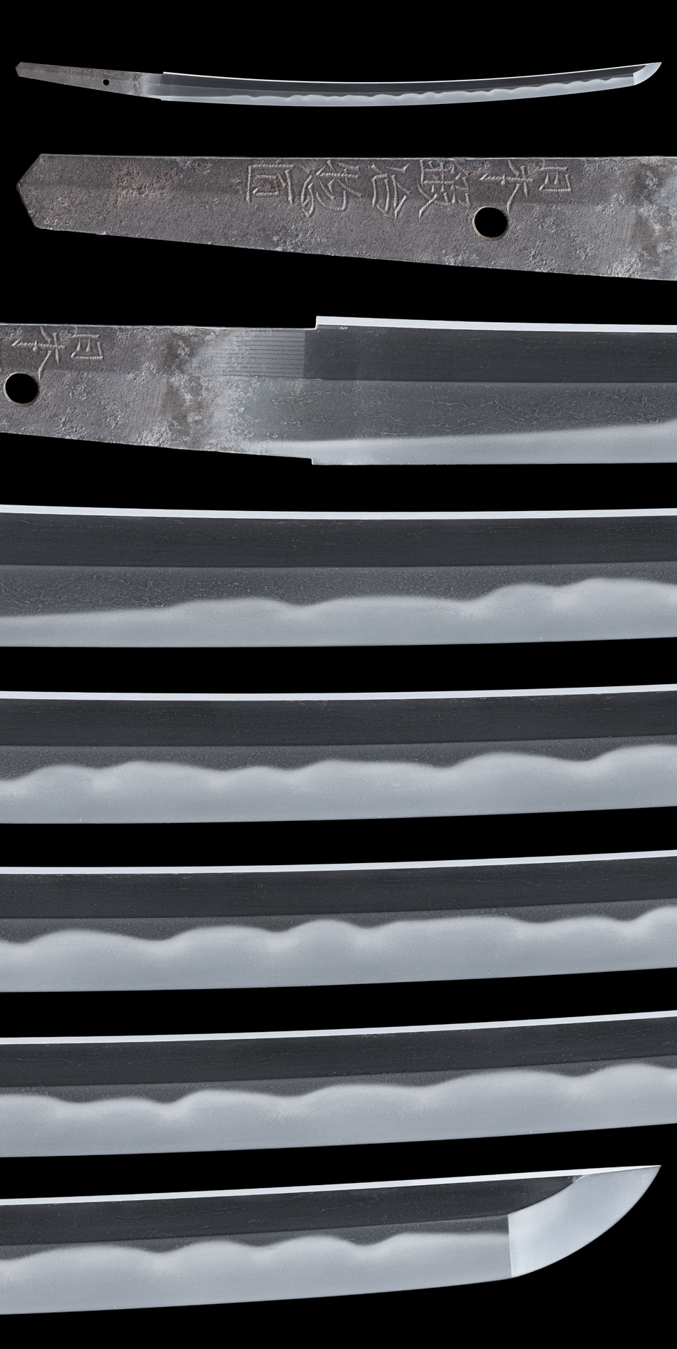 脇差 （菊紋）伊賀守藤原金道（三代） 附 拵(WA-100323)｜刀・日本刀の