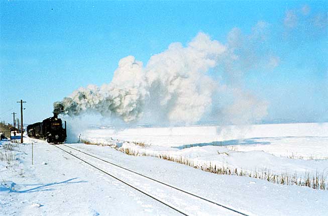 現役蒸気機関車の写真・映像 冬景色