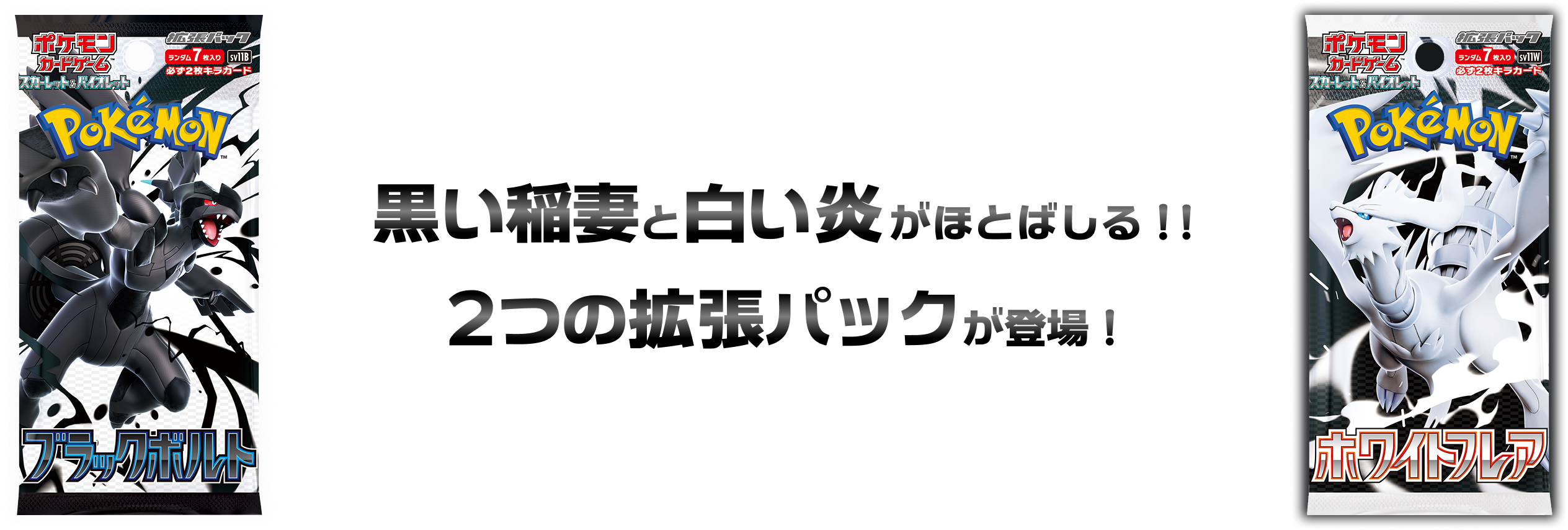 拡張パック「ブラックボルト」「ホワイトフレア」｜ポケモンカード