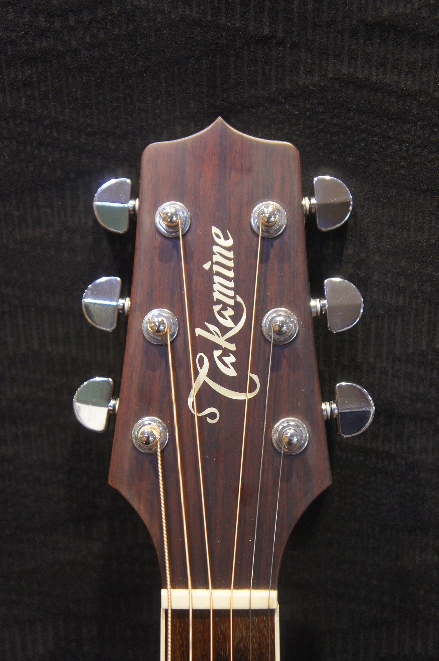 期間限定値下・タカミネ＜TS-600＞日本製・トップ単板 期間限定値下