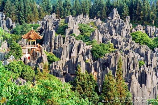 岩手県 - 中国 ・ 雲南省 世界遺産の紹介