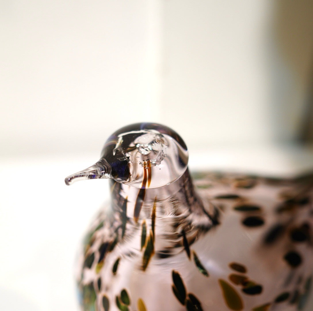 イッタラ / ittala バードシリーズ Reed Warbler ピンク ラスター