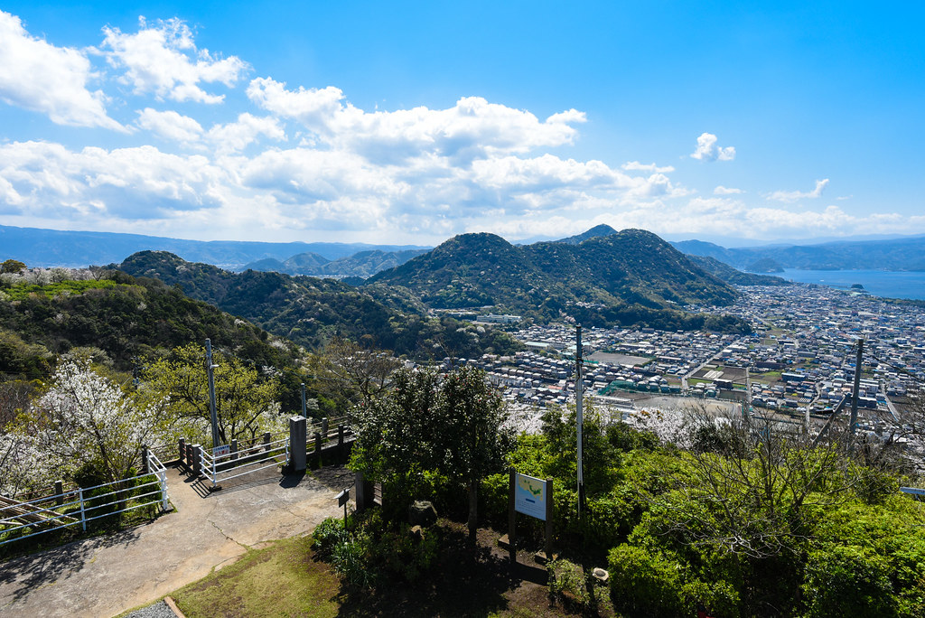 東海】沼津アルプス日帰り登山、桜舞う香貫山と駿河湾の潮風の旅 - Red