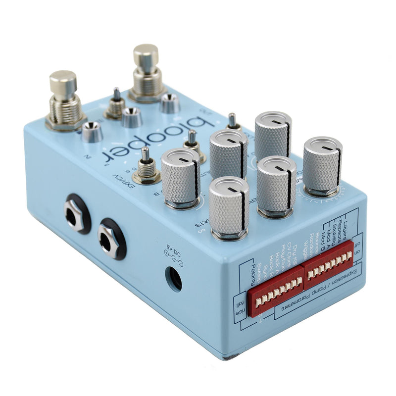 Chase Bliss Blooper Bottomless Looper