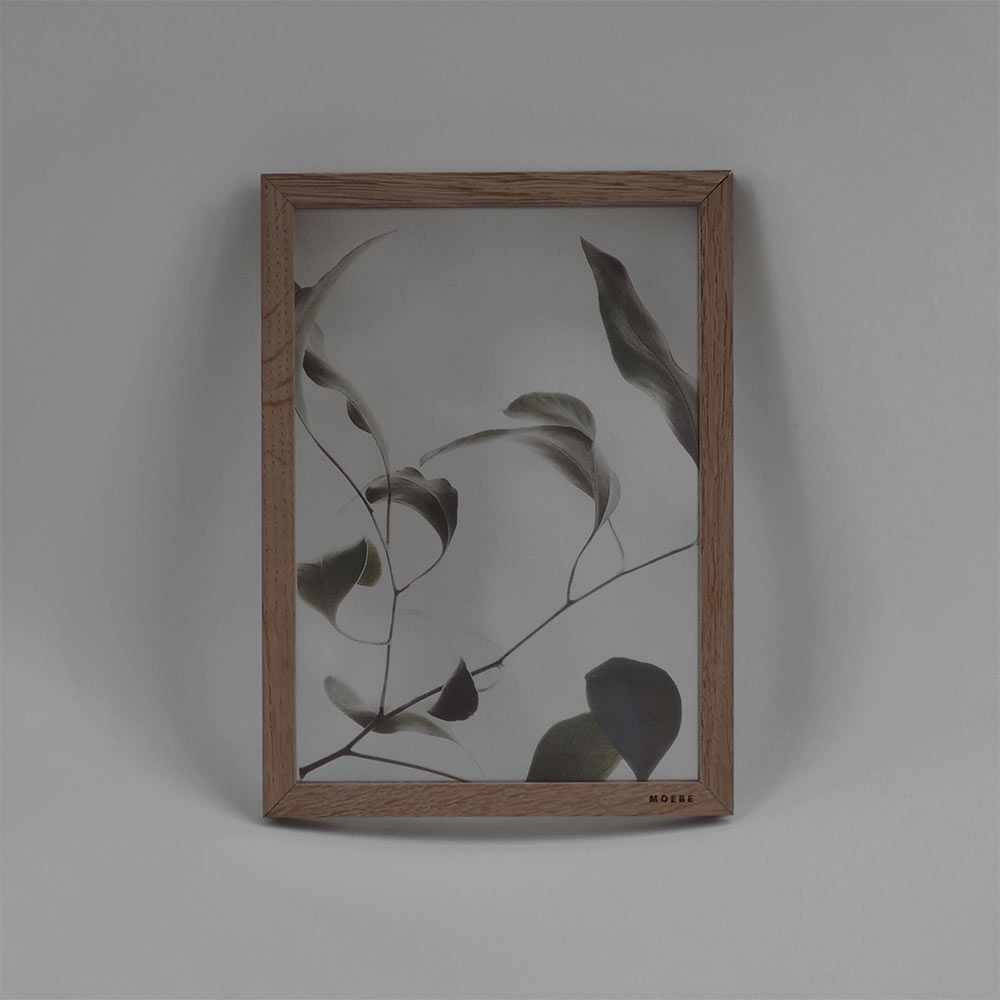 Floating Leaves / moeve + Paper Collective + Norm
