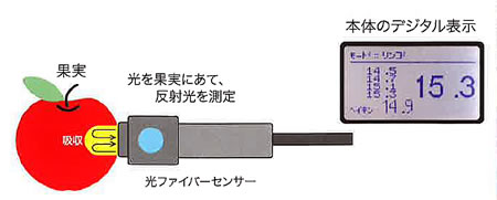 携帯型非破壊糖度計（いちご）/M757D-2010CT-Strawberry/測定/包装