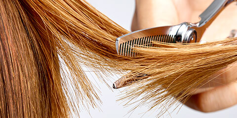 タイプアール - TOGINON