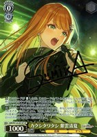 わたしたち、やればできる[サイン付]【ヴァイスシュヴァルツトレカお