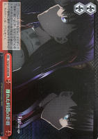 蒼の薔薇”イビルアイ【ヴァイスシュヴァルツトレカお買得価格通販：CB