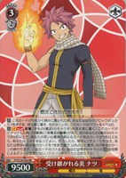 カードを買う/ヴァイスシュヴァルツ/2025年度作品/FAIRY TAIL 100年