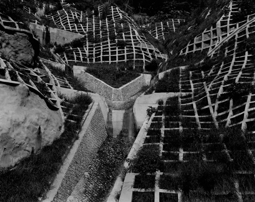 柴田敏雄,Toshio Shibata|@GALLERY TAGBOAT