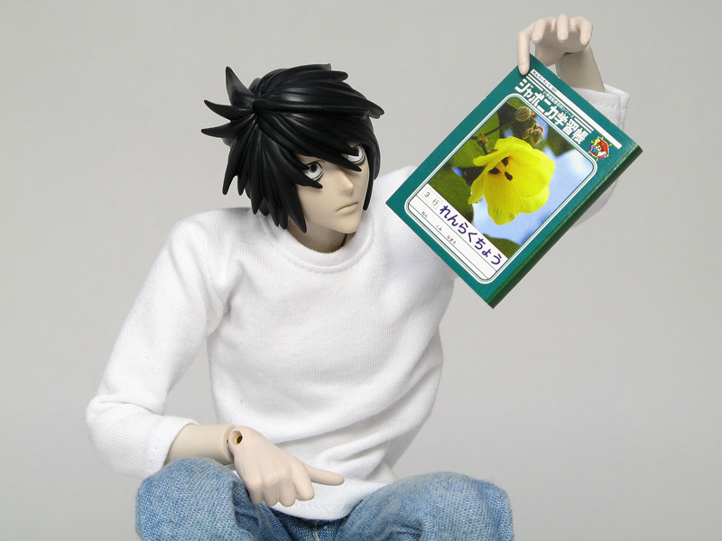 メディコム・トイ RAH-332 デスノート L(エル) レビュー | タコヤキューブ