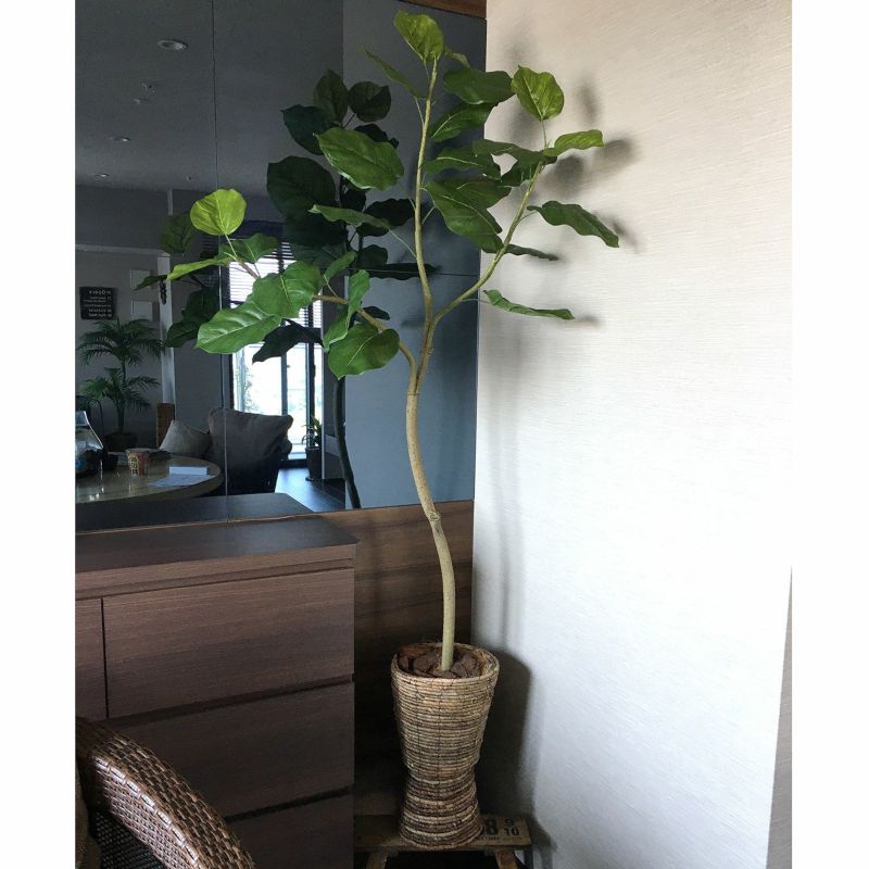 No9266 プレミアム光触媒フェイクグリーン「幹を曲げて、フォルムが