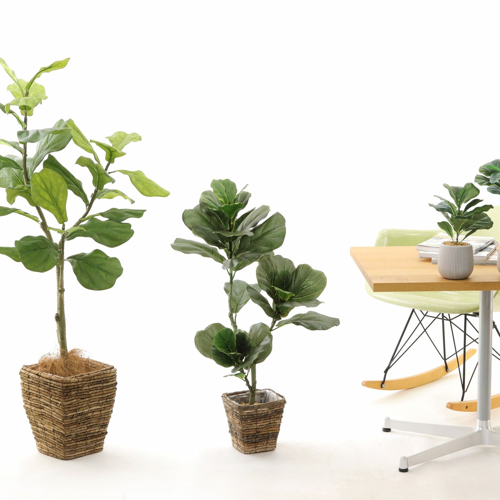 No8440 プレミアム光触媒フェイクグリーン 「大きな葉が魅せる存在感