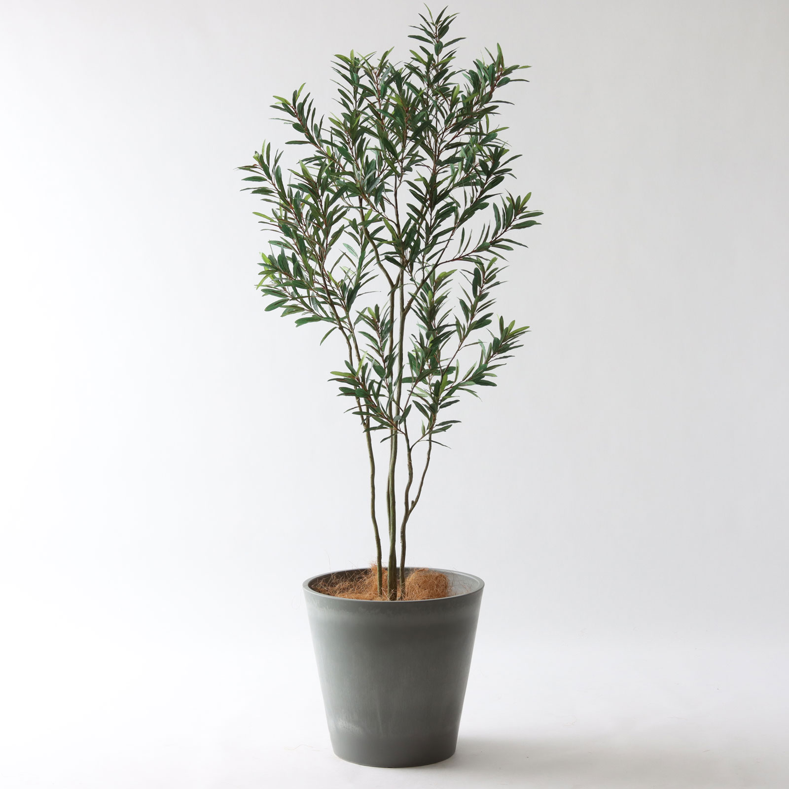 オリーブの木 | プレミアム光触媒フェイクグリーン 造花ドットコム