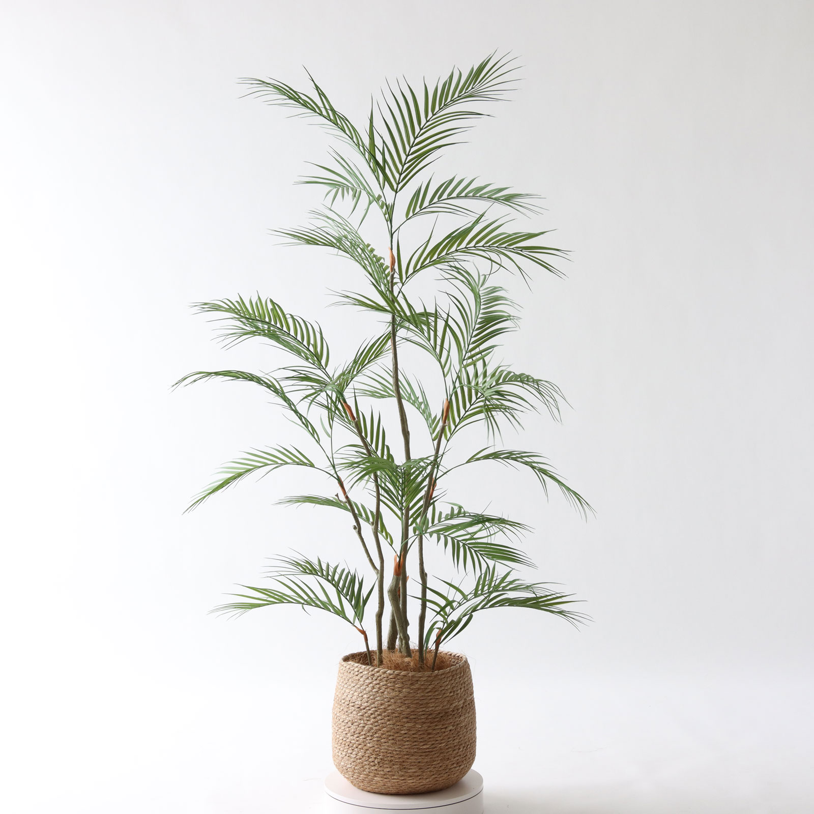 No9399 プレミアム光触媒フェイクグリーン 「風が描いたような