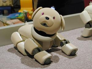 ASCII.jp：ソニー、“AIBO EXPO 2002”でAIBOの最新機種を披露――AIBO用